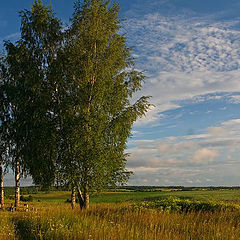 фото "Уединенный уголок"