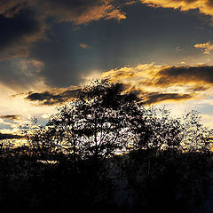 photo "A bearing of sunset"