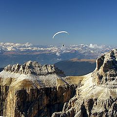 фото "The Paraglider"