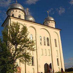 фото "В лучах солнца"