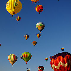 фото "Balloon Races"