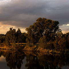 photo "***"