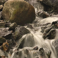 photo "Beneath the lying stone"