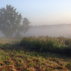 фото "Первые прокосы"