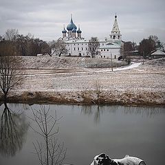 фото "Живое и мертвое"