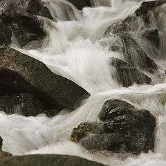 photo "Stream"