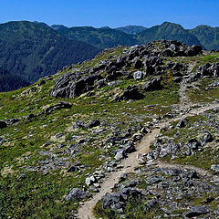 фото "Rocky Mountain Paths"