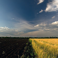 фото "Философия земли"