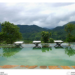 photo "Rain Forest Edge"