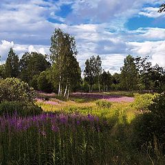 фото "Летняя тишина"