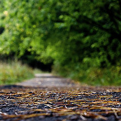 photo "***"