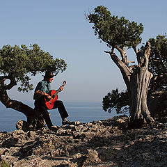 photo "Music of wind"