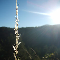 фото "Feel the warming sun"