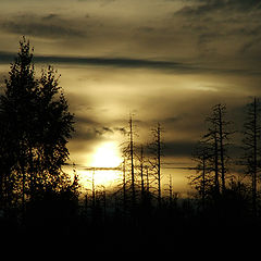 фото "Закат"