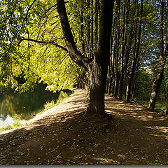 фото "September light"