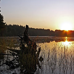 photo "In the hour sunrise"