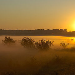 photo "Morning vague"