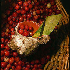 photo "Still life. Gifts"