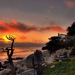 photo "Carmel by the Sea"