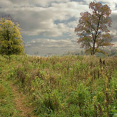 photo "***"