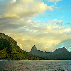 фото "Polynesian island of Moorea"