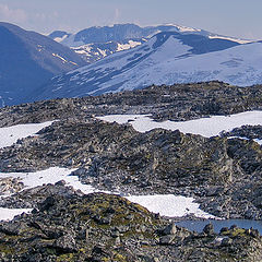 фото "одинокий странник"