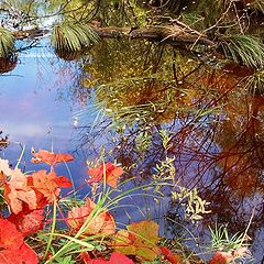 photo "Reflections of September"