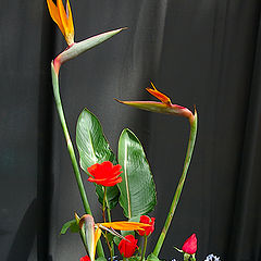 photo "Ikebana #1"