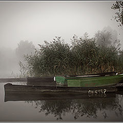 фото "Mooring"