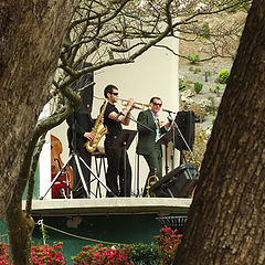 photo "Music in the trees"