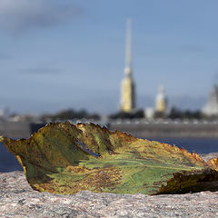 фото "Осенняя телеграмма"