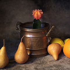 фото "Still life 39"