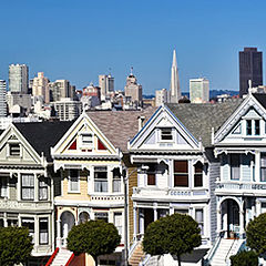 photo "Painted Ladies"