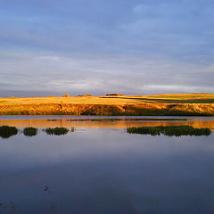 фото "берег"