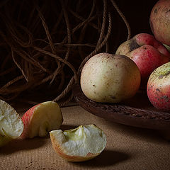 photo "September Apples"