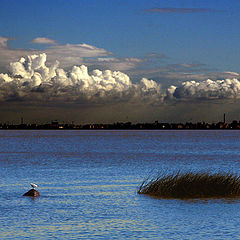 photo "Rain over the city"