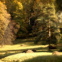 photo "Pavlovsk. Indian summer"