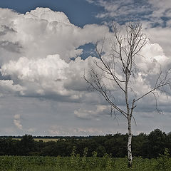 фото "...люли, люли стояла..."