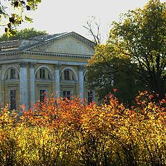 фото "Пушкин, осень"
