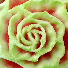 photo "Each water-melon dreams to become a rose..."