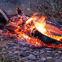 photo "So forest fire begins"