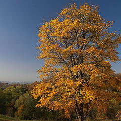 photo "Borovsk. Landscape 2."