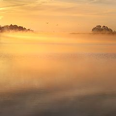 photo "On a foggy October morning"