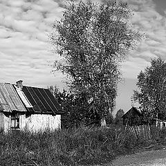 фото "Глубинка"