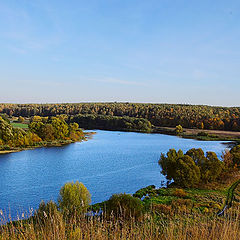 фото "Зуша"