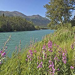 фото "On the way to Seward"