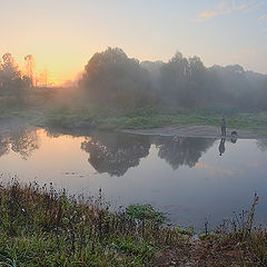 photo "Morning hunting"