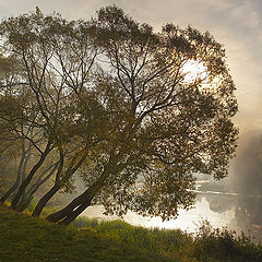 photo "Through a fog..."