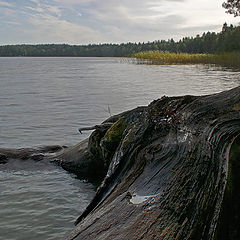 фото "Вода"