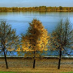 фото "переходное время"